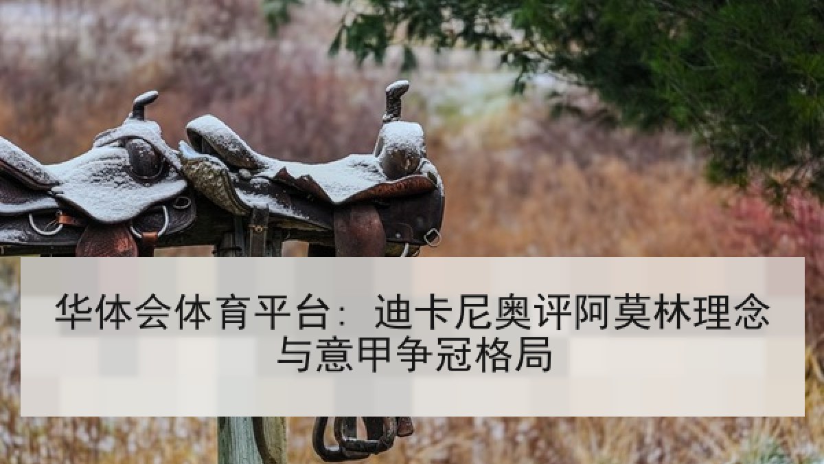 华体会体育平台: 迪卡尼奥评阿莫林理念与意甲争冠格局 华体会体育平台: 迪卡尼奥评阿莫林理念与意甲争冠格局