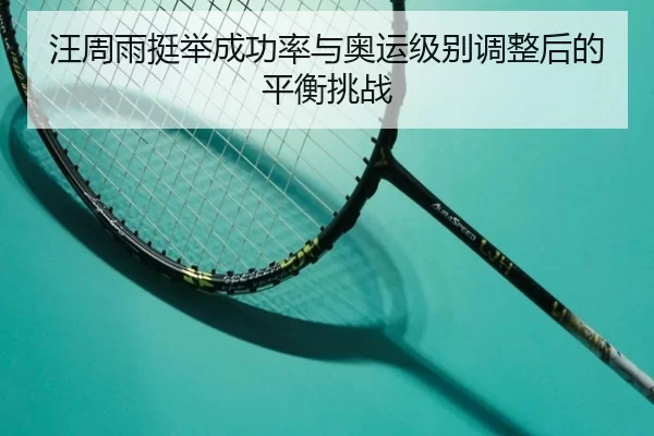 wang-zhou-yu-ting-ju-cheng-gong-lv-yu-ao-yun-ji-bie-tiao-zheng-hou-de-ping-heng-tiao-zhan-3-442.jpg