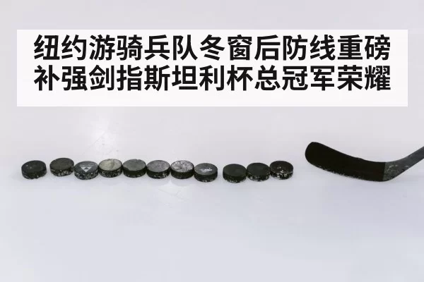 纽约游骑兵队冬窗后防线重磅补强剑指斯坦利杯总冠军荣耀
